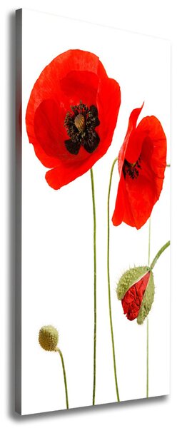 Print pe canvas wildflowers maci