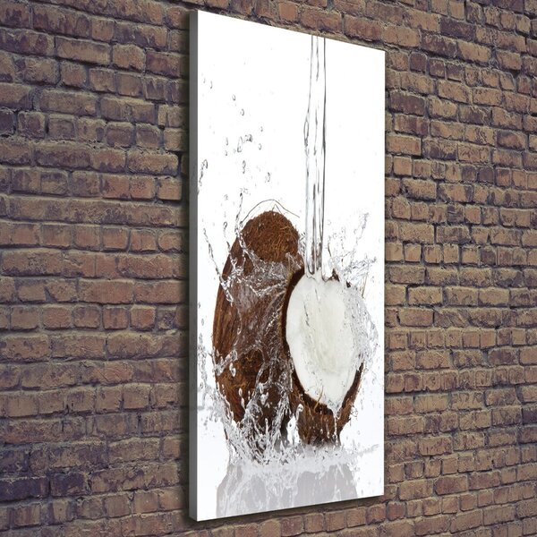 Imprimare tablou canvas nucă de cocos