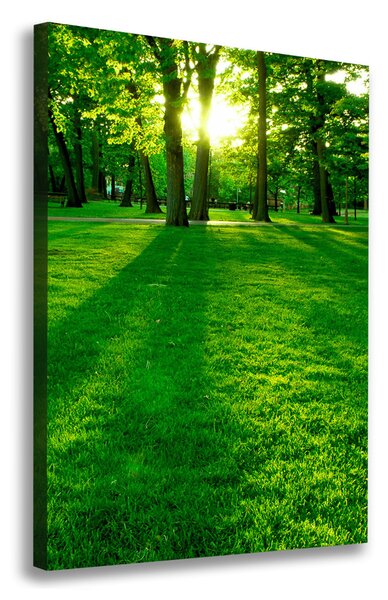 Tablou pe pânză canvas Soarele în parc