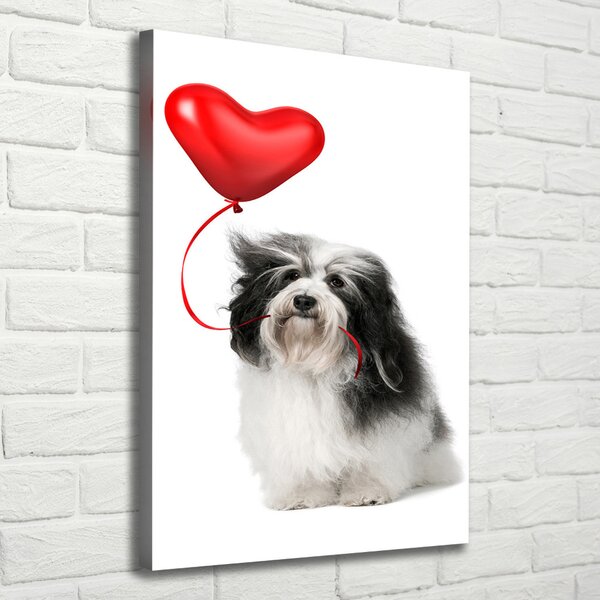 Tablouri tipărite pe pânză balon havanese