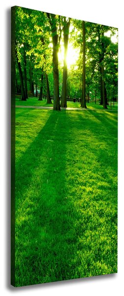 Tablou pe pânză canvas Soarele în parc