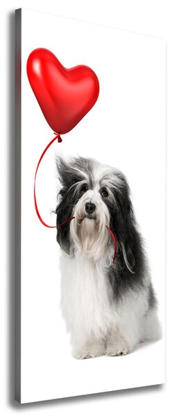 Tablouri tipărite pe pânză balon havanese