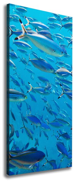 Imprimare tablou canvas pește Coral