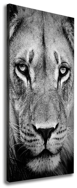 Print pe canvas Portret de un leu