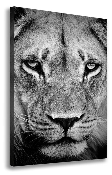Print pe canvas Portret de un leu