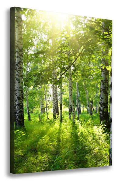 Print pe canvas pădurea de mesteacăn
