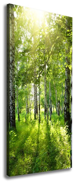 Print pe canvas pădurea de mesteacăn