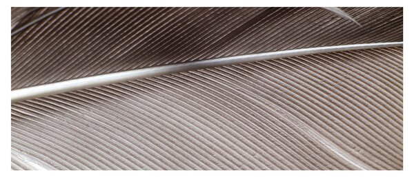 Tablou cu fibre abstacte (120x50 cm)