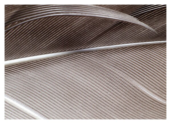 Tablou cu fibre abstacte (70x50 cm)