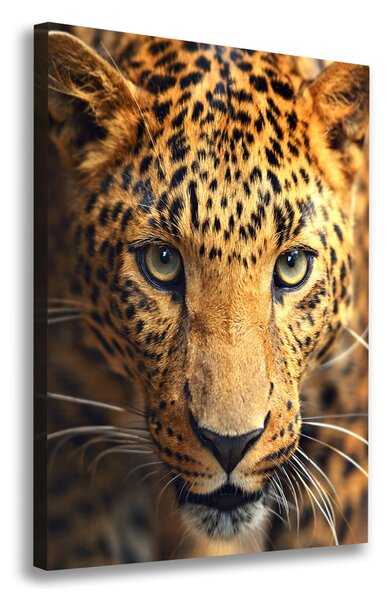 Imprimare tablou canvas leopard
