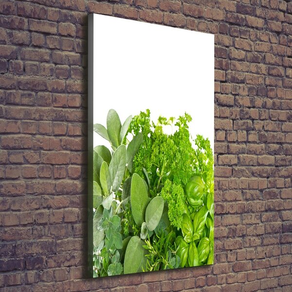 Tablou pe pânză canvas Ierburi