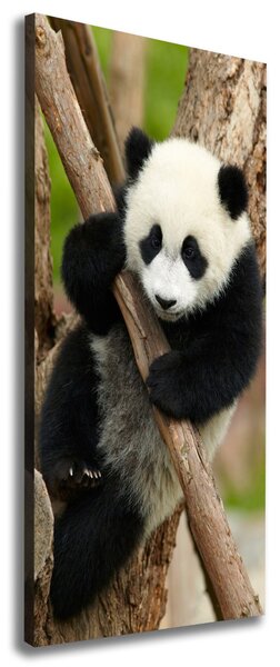 Tablou canvas Panda într-un copac