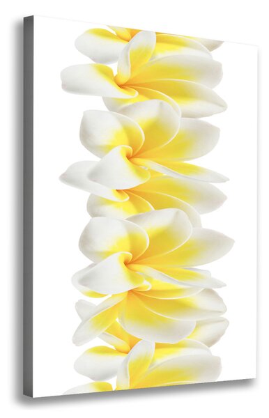 Tablouri tipărite pe pânză plumeria