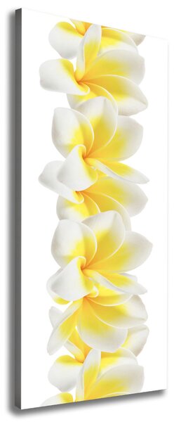 Tablouri tipărite pe pânză plumeria
