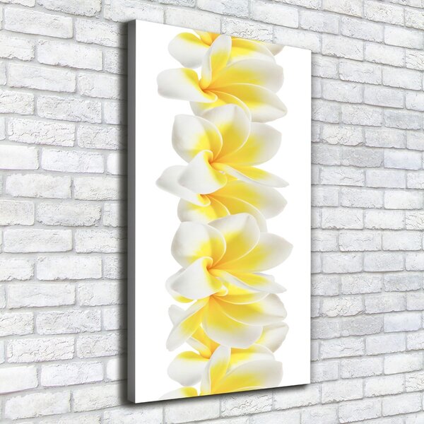 Tablouri tipărite pe pânză plumeria