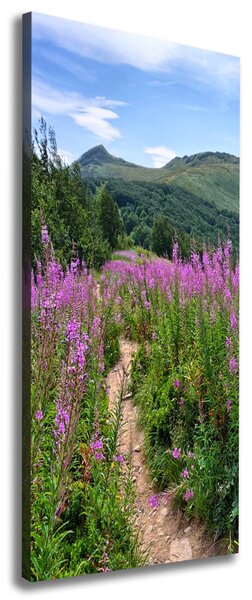 Imprimare tablou canvas Bieszczady