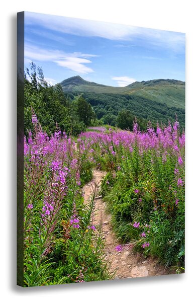 Imprimare tablou canvas Bieszczady