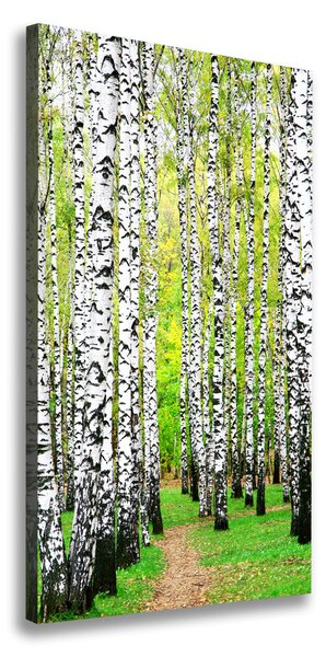 Tablou pe pânză canvas pădurea de mesteacăn