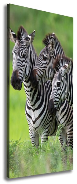 Tablou canvas trei zebre