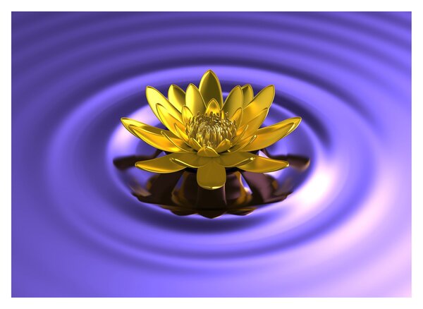 Tablou - Lotus (70x50 cm)