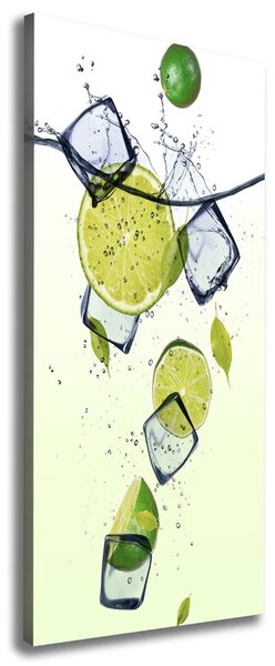 Tablou pe pânză canvas Limes și gheață