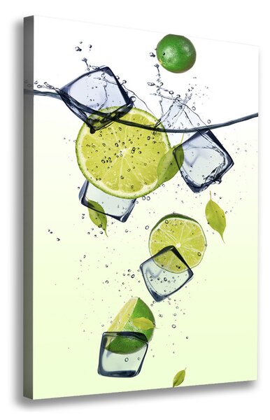 Tablou pe pânză canvas Limes și gheață