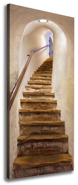 Tablouri tipărite pe pânză Scari in castel