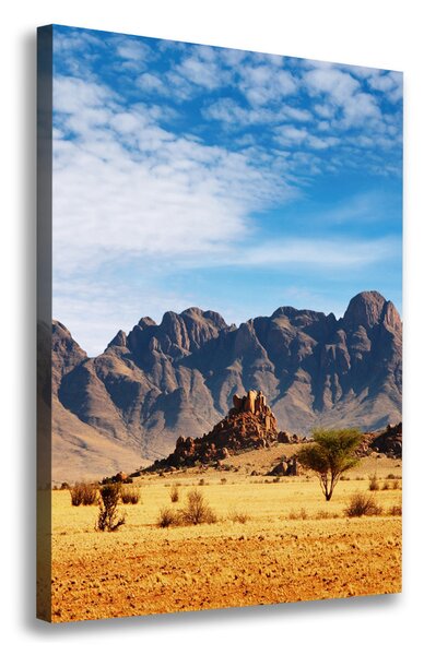 Tablou pe pânză Desert Namibia