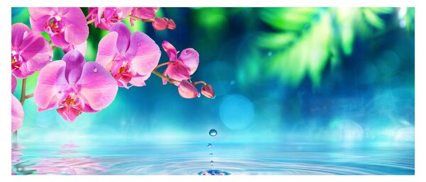 Tablou - Orhidee (120x50 cm)
