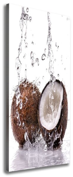 Tablouri tipărite pe pânză nucă de cocos