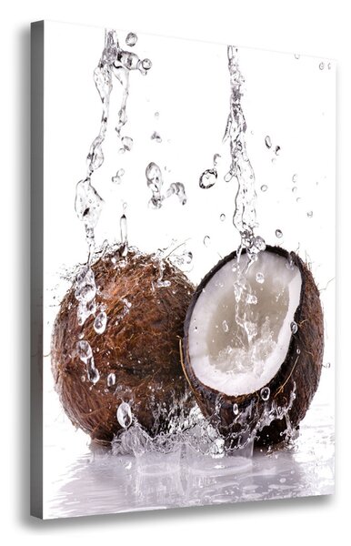 Tablouri tipărite pe pânză nucă de cocos