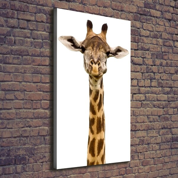 Imprimare tablou canvas Girafă