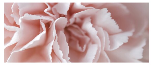Tablou - Detaliu flori (120x50 cm)