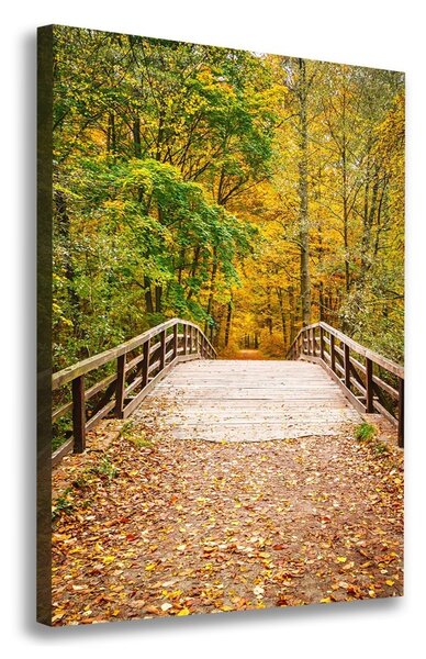 Print pe canvas pădure în toamna