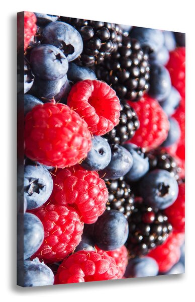 Print pe canvas fructe de padure