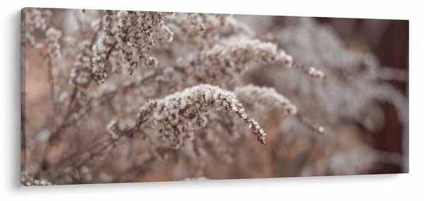 Tablou cu plante (120x50 cm)