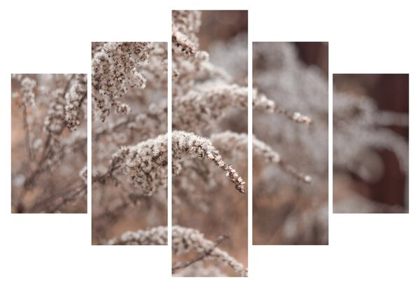 Tablou cu plante (150x105 cm)