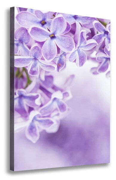 Tablou canvas flori de liliac