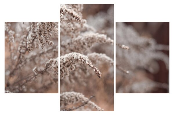 Tablou cu plante (90x60 cm)
