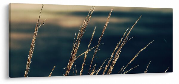 Tablou cu ierburi (120x50 cm)