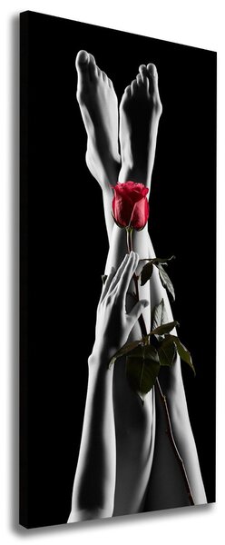 Tablou pe pânză canvas Rose și picioare