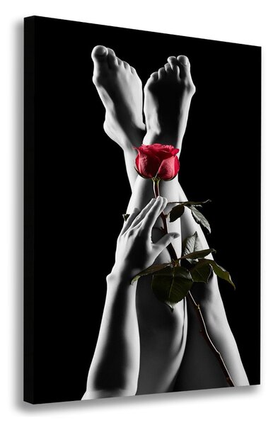 Tablou pe pânză canvas Rose și picioare