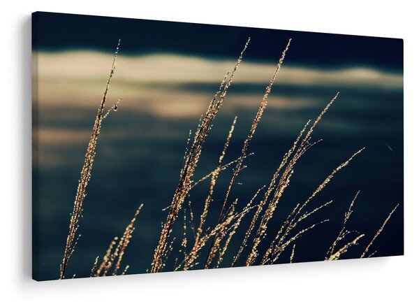 Tablou cu ierburi (90x60 cm)