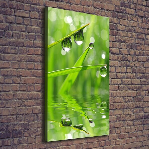 Print pe canvas lame de iarbă