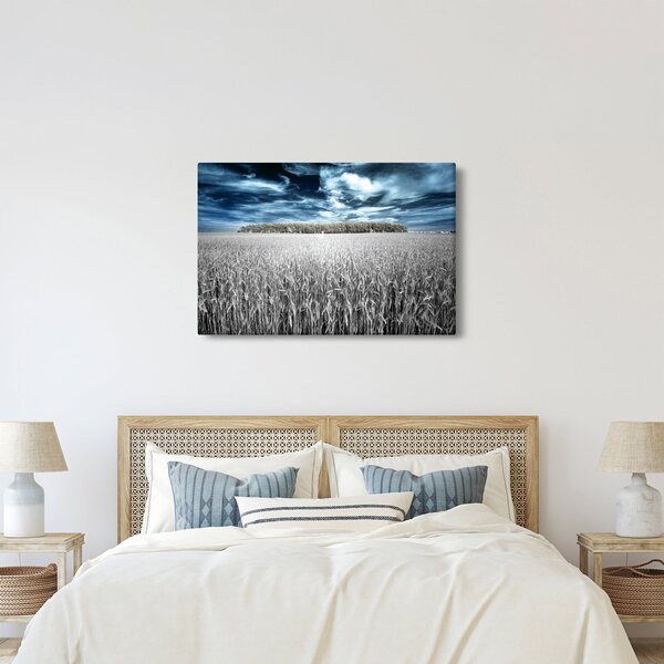 Tablou cu câmp (90x60 cm)