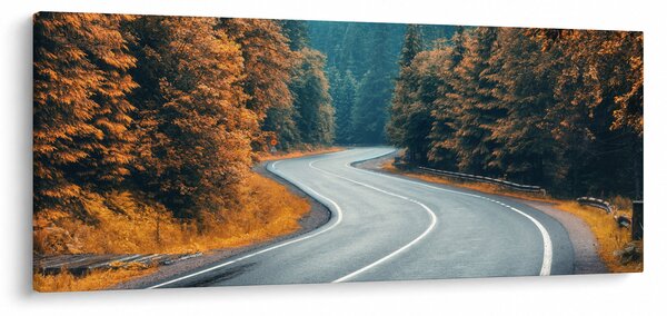 Tablou - Drumul cu serpentine (120x50 cm)