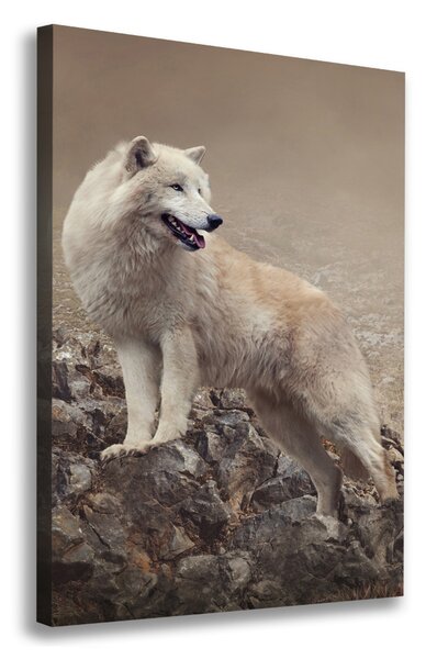 Tablou pe pânză Wolf pe o stâncă