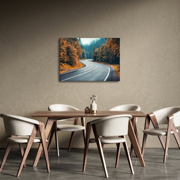 Tablou - Drumul cu serpentine (70x50 cm)