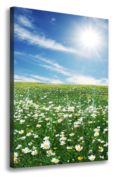 Tablou canvas luncă