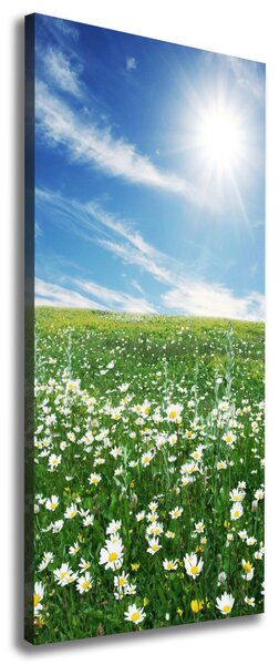 Tablou canvas luncă